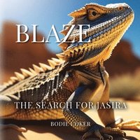 bokomslag Blaze