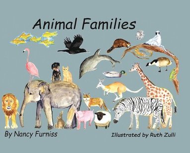 bokomslag Animal Families