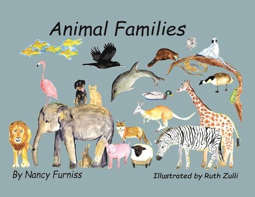 Animal Families 1