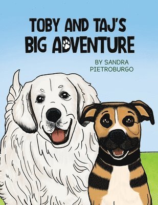 bokomslag Toby and Taj's Big Adventure