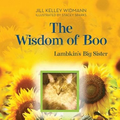 bokomslag The Wisdom of Boo