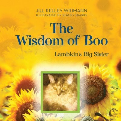 The Wisdom of Boo 1