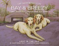 bokomslag Adventures of Bay & Breezy