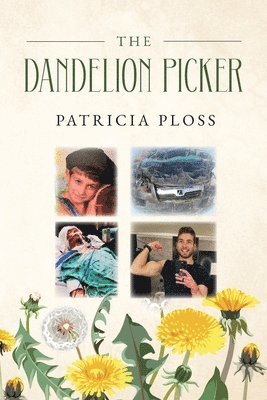 bokomslag Dandelion Picker