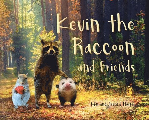 Kevin the Raccoon and Friends 1