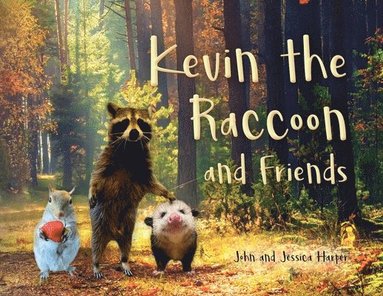 bokomslag Kevin the Raccoon and Friends