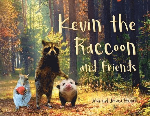 Kevin the Raccoon and Friends 1