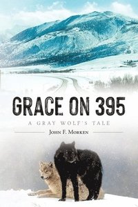 bokomslag Grace on 395