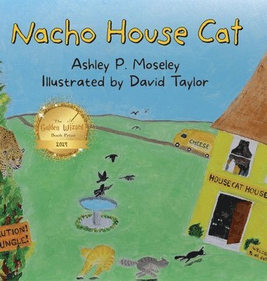 Nacho House Cat 1