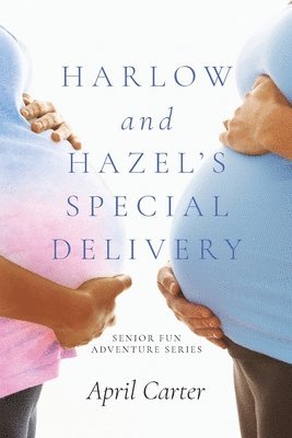 bokomslag Harlow and Hazel's Special Delivery