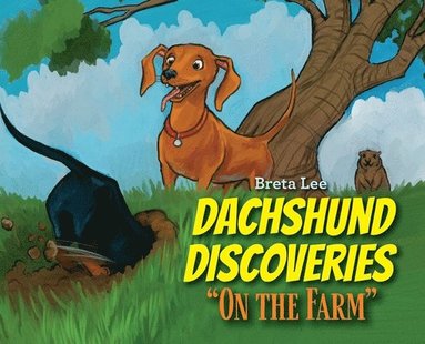 bokomslag Dachshund Discoveries