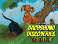 bokomslag Dachshund Discoveries