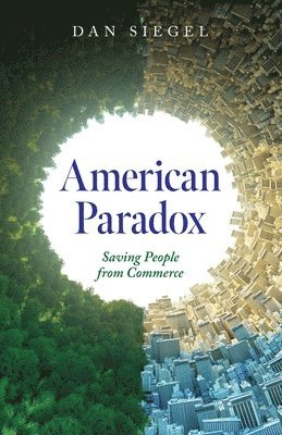 bokomslag American Paradox