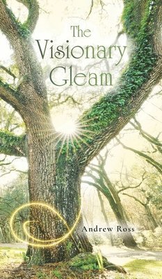 bokomslag Visionary Gleam