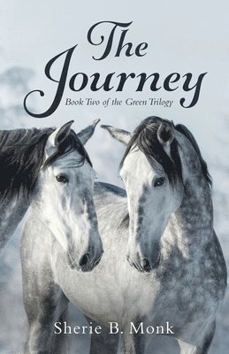 The Journey 1