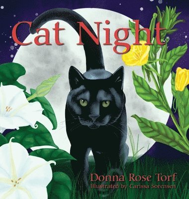 Cat Night