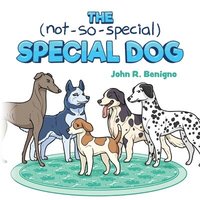 bokomslag Not So Special, Special Dog