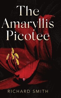 The Amaryllis Picotee 1