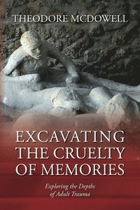 bokomslag Excavating the Cruelty of Memories