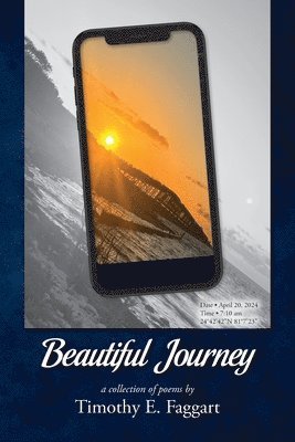 bokomslag Beautiful Journey