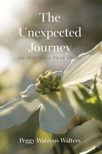 bokomslag Unexpected Journey