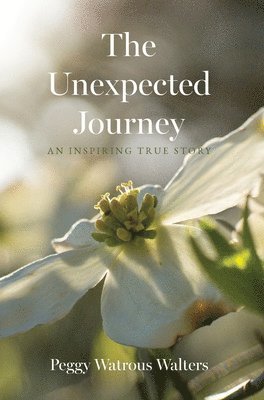 bokomslag Unexpected Journey