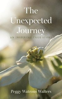 bokomslag Unexpected Journey