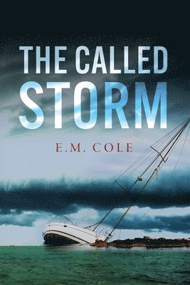 bokomslag Called Storm
