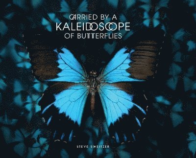 Carried by a Kaleidoscope of Butterflies 1