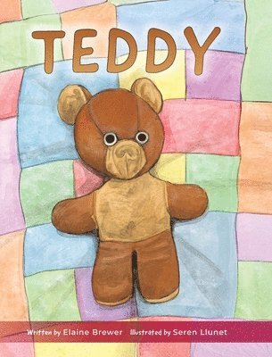 bokomslag Teddy