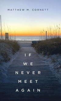 bokomslag If We Never Meet Again
