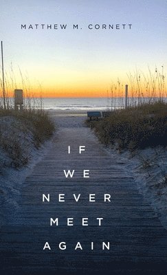 bokomslag If We Never Meet Again