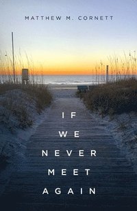 bokomslag If We Never Meet Again