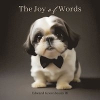 bokomslag Joy of Words