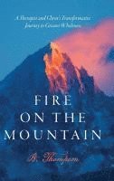 bokomslag Fire on the Mountain