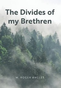 bokomslag Divides of my Brethren