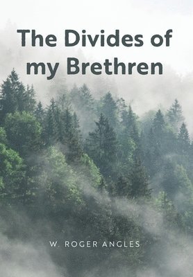 bokomslag Divides of my Brethren