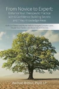 bokomslag From Novice to Expert - Enhance Your Therapeutic Practice with 6 Confidence-Building Secrets and 7 Key Knowledge Areas