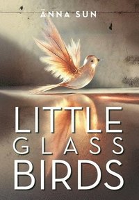bokomslag Little Glass Birds