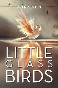 bokomslag Little Glass Birds