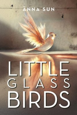 bokomslag Little Glass Birds
