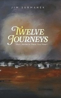 bokomslag Twelve Journeys