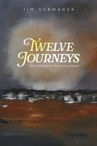 bokomslag Twelve Journeys