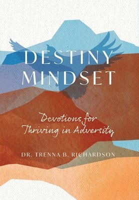 bokomslag Destiny Mindset