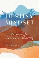 bokomslag Destiny Mindset