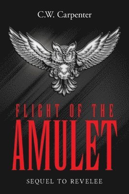 bokomslag Flight Of The Amulet