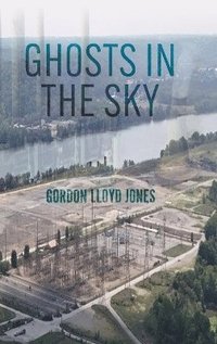bokomslag Ghosts in the Sky