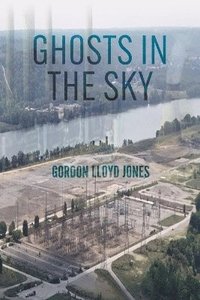 bokomslag Ghosts in the Sky