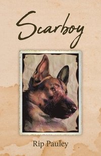 bokomslag Scarboy