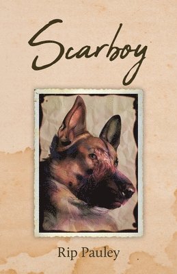 bokomslag Scarboy